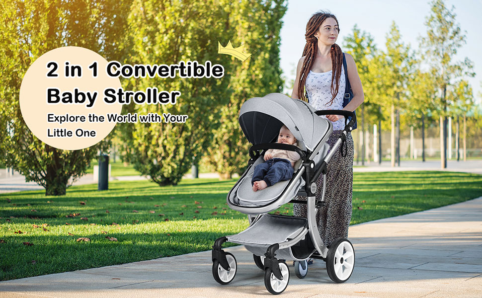 2 in 1 Convertible Baby Stroller