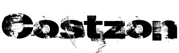 costzon logo
