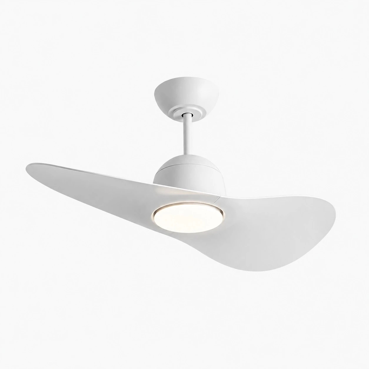 Designer Hat Two-Blade Ceiling Fan Light